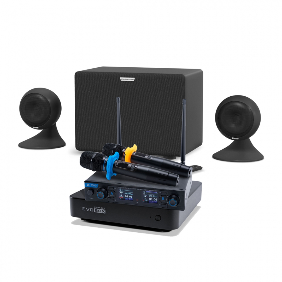 караоке-комплект EVOBOX + EvoSound Sphere 2.1 в Королеве