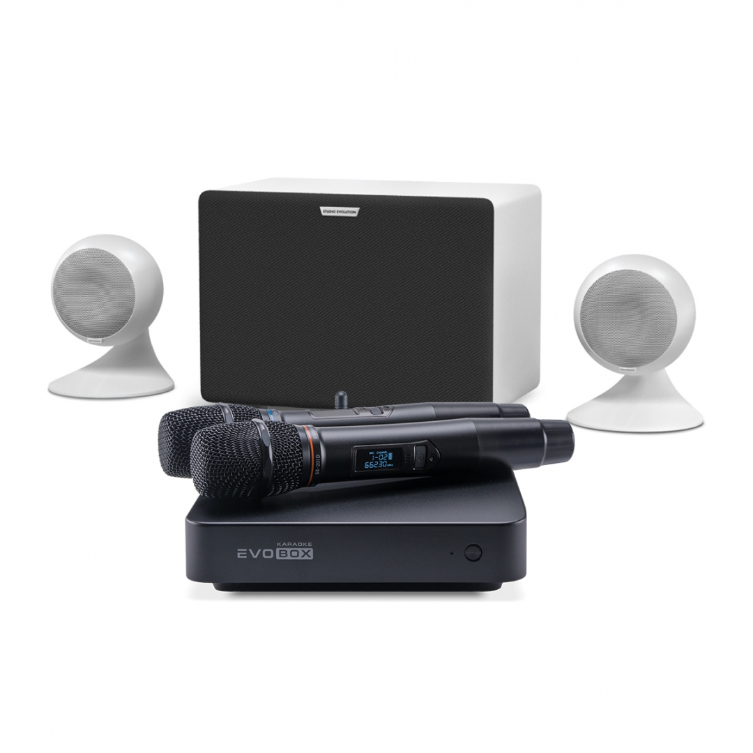 караоке-комплект EVOBOX Classic + EvoSound Sphere 2.1 в Королеве